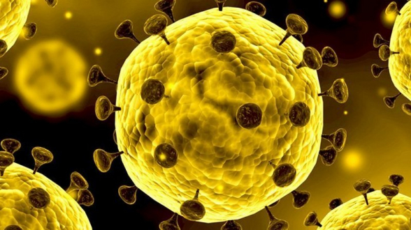 В Грузии выявлено 2 295 новых случаев коронавируса